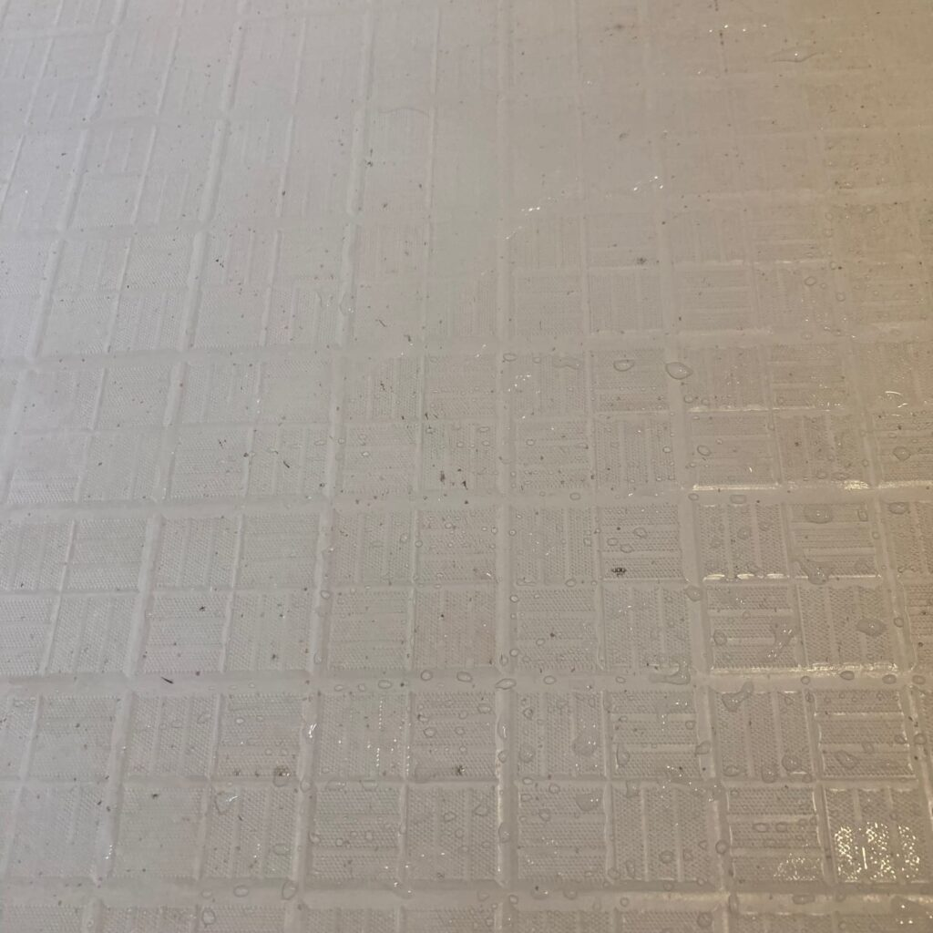 ポツポツとした黒カビが目立つ掃除前の風呂場の床