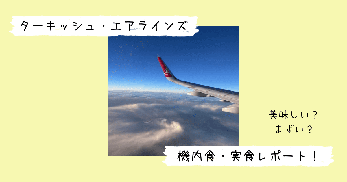 ターキッシュ・エアラインズの飛行機