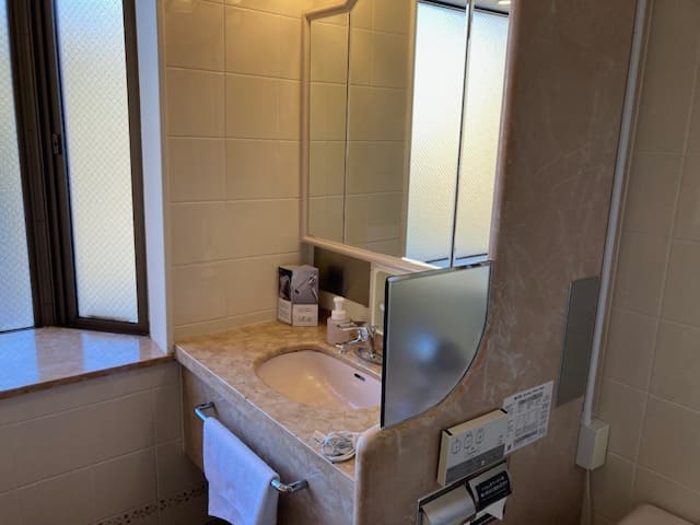 リッチモンドホテル目白東京のデラックスダブルルームの洗面所