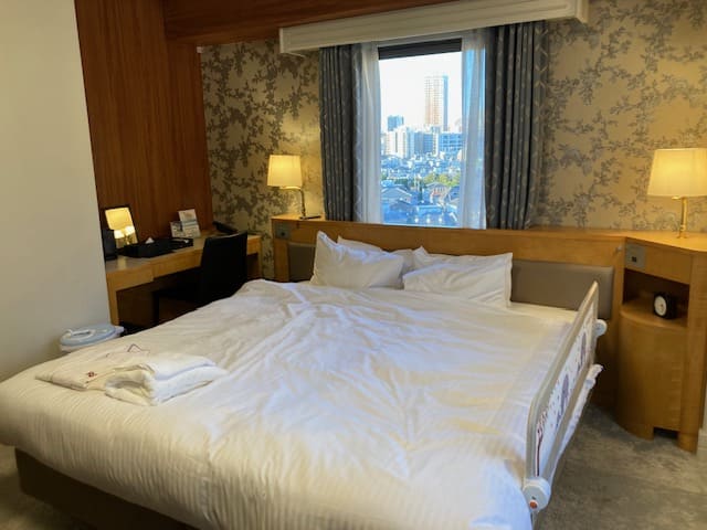 二つの窓のうち一方の窓が見える角度から見たリッチモンドホテル目白東京のデラックスダブルルーム