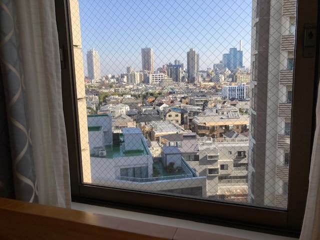 リッチモンドホテル目白東京のデラックスダブルルームの窓からの眺め