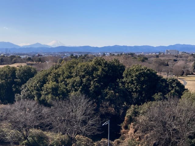 絶景スポットから見た昭和記念公園