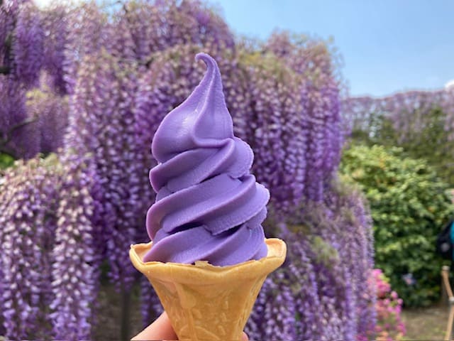藤ソフトクリーム