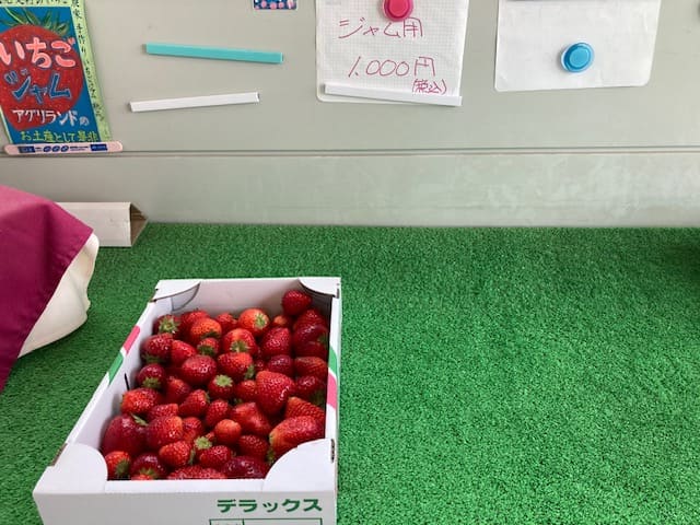 ジャム用のいちご