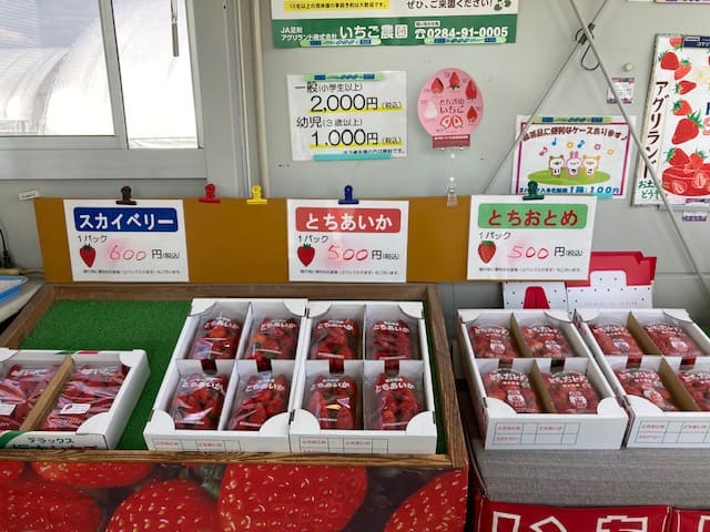 直売所に売られている苺