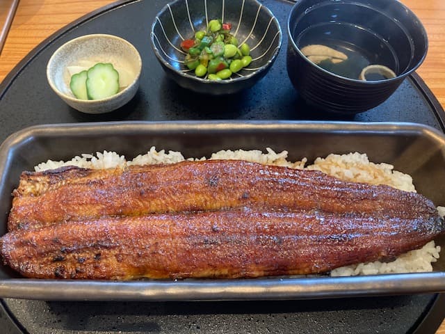 うなぎ四代目菊川の蒲焼一本重