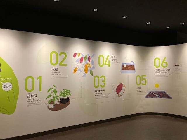 チョコレートができる工程図