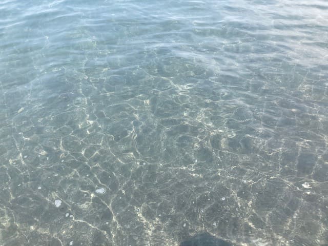 海の透明度